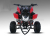 110CC ATV