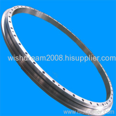 triple row roller slewing bearings