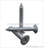 Drilling screw，screw