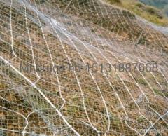 Steel Wire Netting