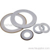 PTFE envolope gasket