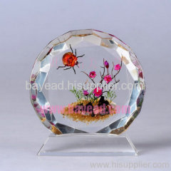 high quality Insect Amber Desktop decoration