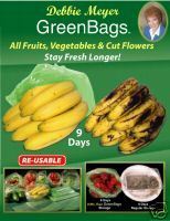 debbie meyers green bags