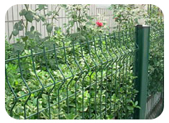 Hook style wire mesh fence