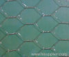 Hexagoanl Wire Mesh