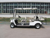 3000W electric golf cart