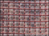 Crimped Wire mesh