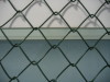 Chain Link fences