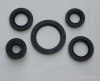 TS8 oil seals