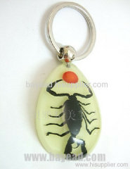 Wholesale Real Insect Scorpion Amber Keychains, So Vivid Gift.Insect Amber Key Chains