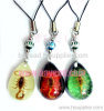 Insect Amber Cellphone chain,promotion gifts, Fashional Jewelry, Amber Jewellery