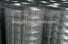 Hot dipped galvanized wire mesh