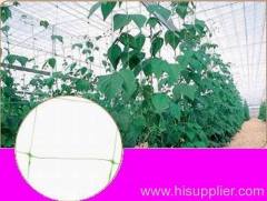 Plant support net