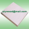 white birch plywood