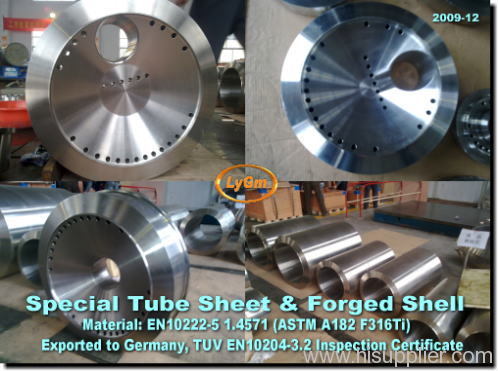 Special Tube Sheet
