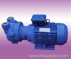 1100 watering vacuum pump