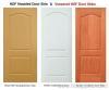 doorskin