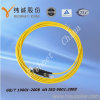 ST Fiber Optic Patch Cord