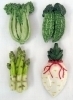 Polyresin Fridge Magnet (Vegetables Design)