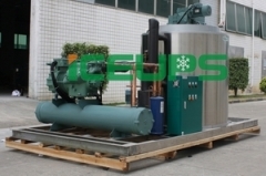 Plain Water Flake Ice Plant ,10tons/24h, Btizer Compressor, for frozen fish or meat