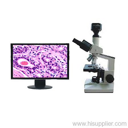 Digital Biomicroscope