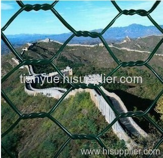 hexagonal wire netting