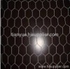 woven wire netting