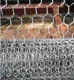 hexagonal wire mesh