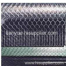 hexagonal wire mesh