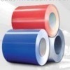 Prepainted galvanized steel coils