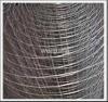 Special Welded Mesh Roll