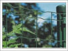 Euro Welded Fence