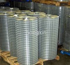 Hot dipped Galvanized Coated Welded Wire Mesh