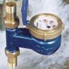 Rotary vane water meter