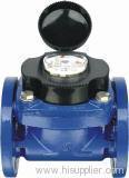 Woltman detachable water meter