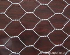 Hot Dip Galvanized Hexagonal Wire Nettings