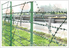 Barbed Wire