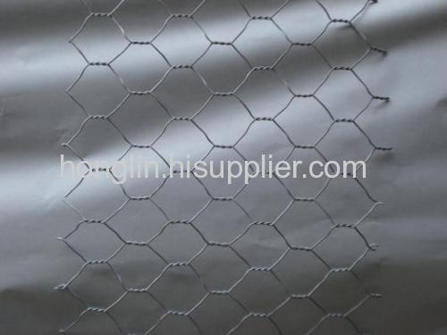 Galvanized chicken wire mesh