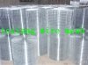 galvanized welded wire mesh