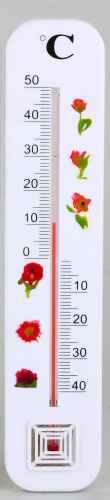 Plastic thermometer