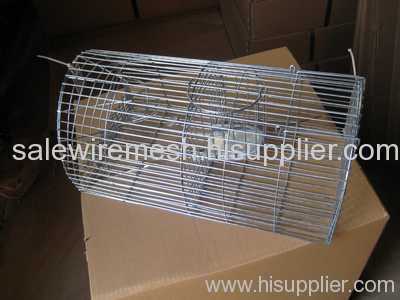 Mouse Trap Cage