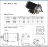 PMDC motor