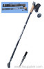 nordic walking stick