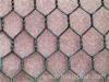 Hexagoanl Wire Mesh