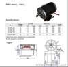 PMDC motor