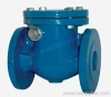 Swing Check Valve