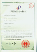 Patent 6