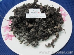 Dried Sargassum seaweed