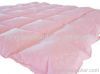 Pink Down Quilt
