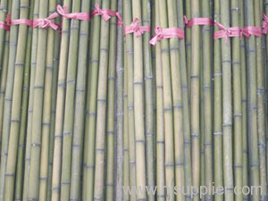 bamboo sticks